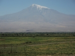 Арарат