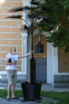 Символ донецка