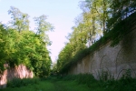 Тараканов