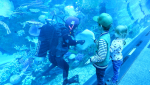 Dubai Aquarium and Underwater Zoo