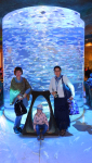 The Lost Chambers Aquarium