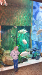 The Lost Chambers Aquarium