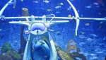 The Lost Chambers Aquarium