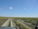 На дне Аральского Моря
