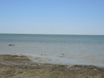 Аральское море