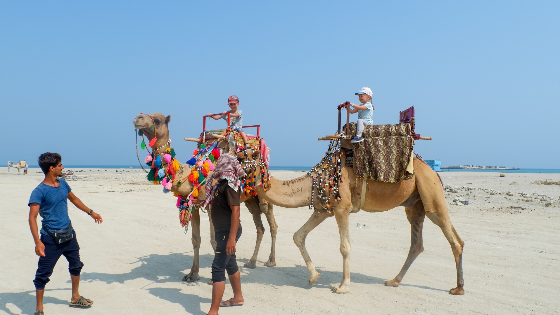 Пляж и верблюды