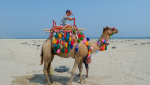 Пляж и верблюды