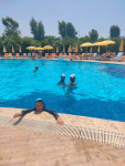 Hedef