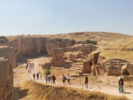 Дара